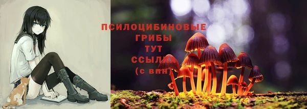 ALPHA-PVP Алексеевка