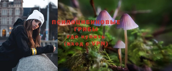 дживик Остров