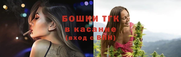 стаф Осташков