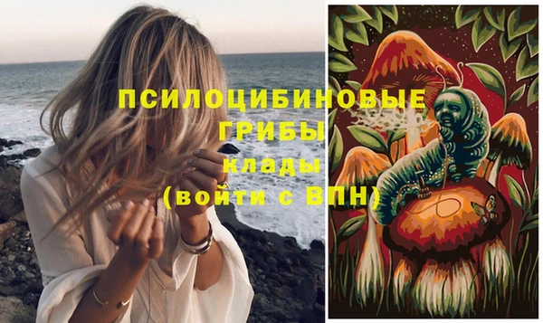 скорость Алзамай